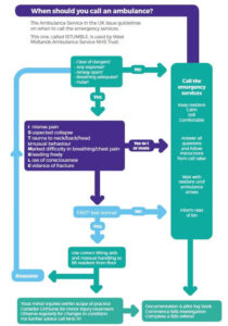 Flowchart to use after a fall.