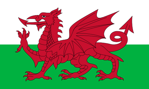 Wales flag icon representing private patient transport by road to the UK